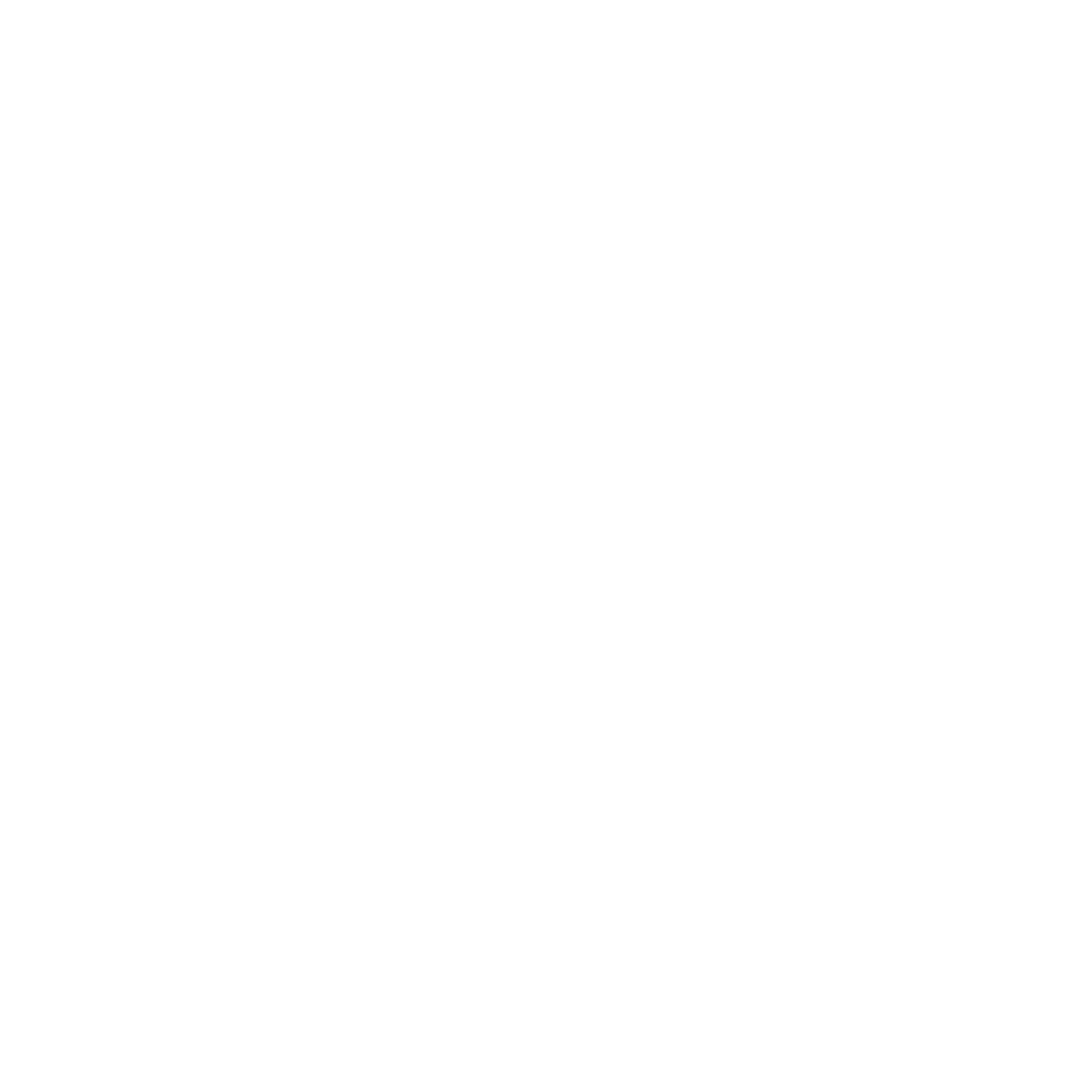 Logo FORGE TAURUS